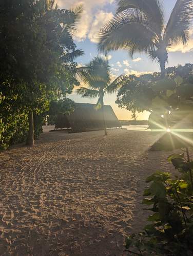Traditional Hawaiian hale structure on beach at sunset