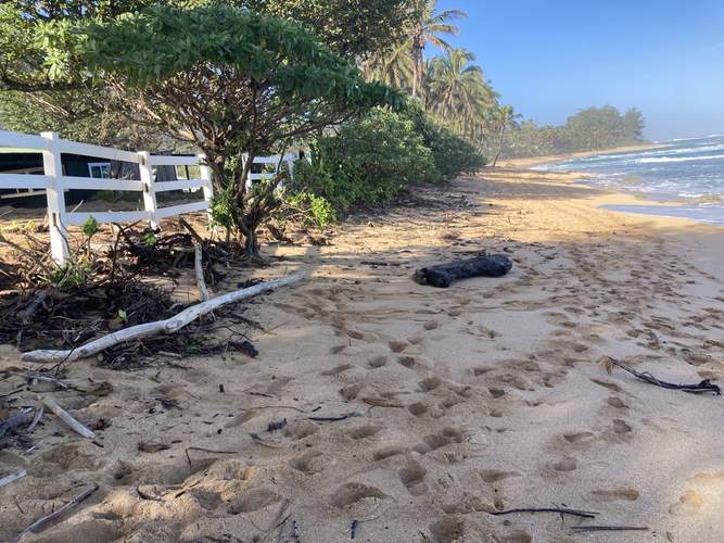 Beachfront property threatened by shoreline erosion in Hawaii