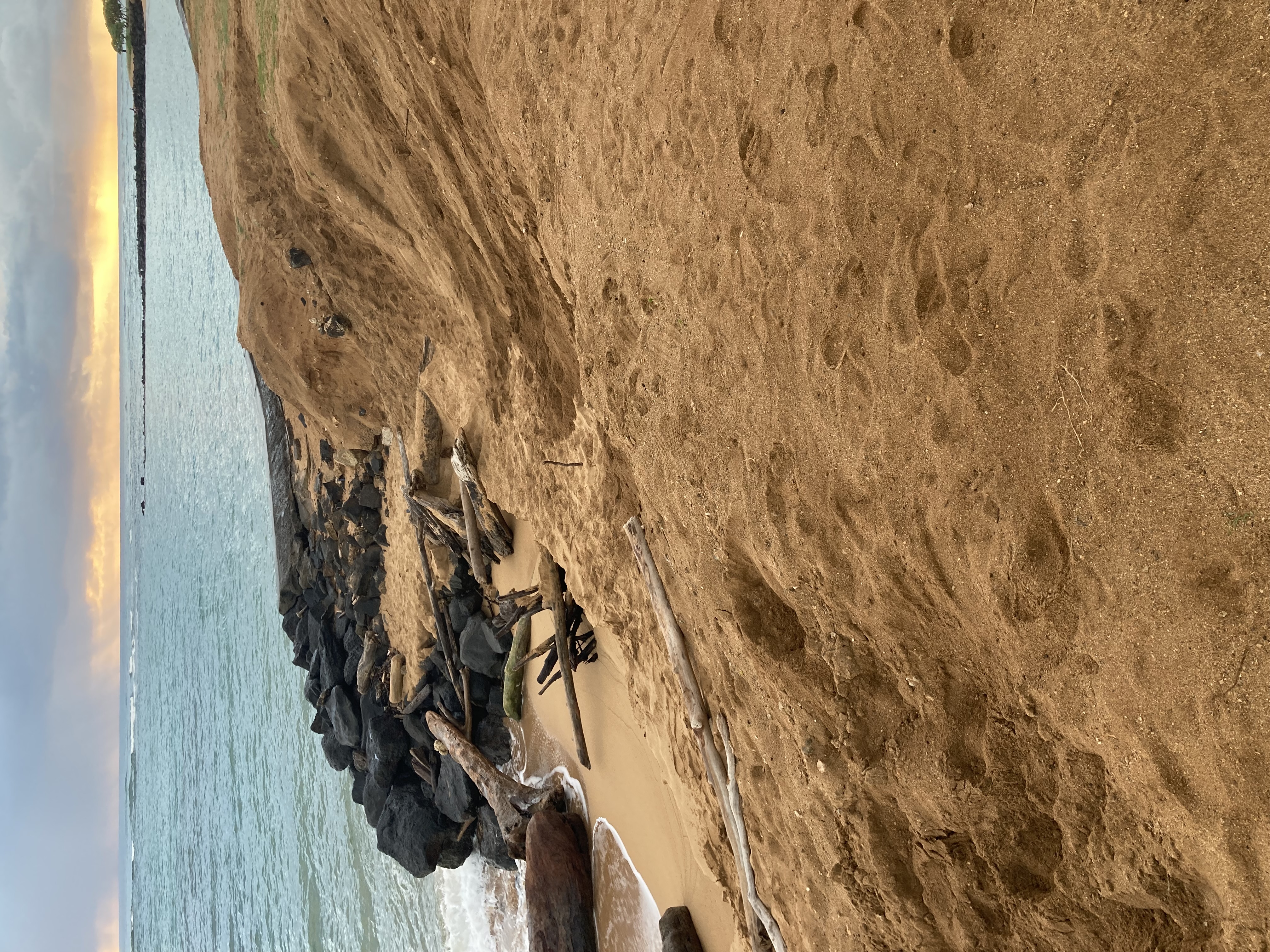 Eroded beach dune with exposed rock revetment